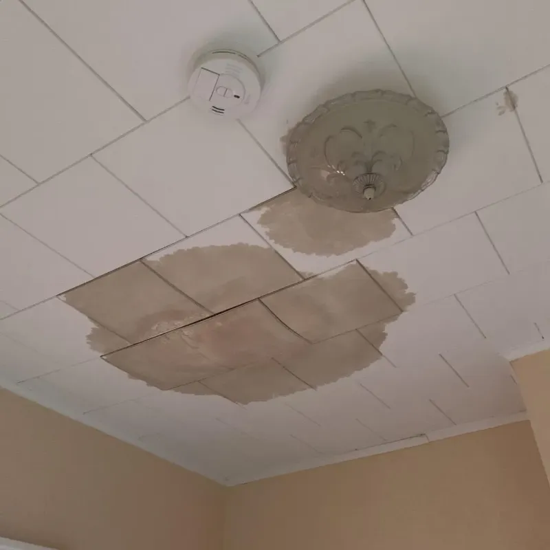Ceiling Water Damage Repair in Luling, LA